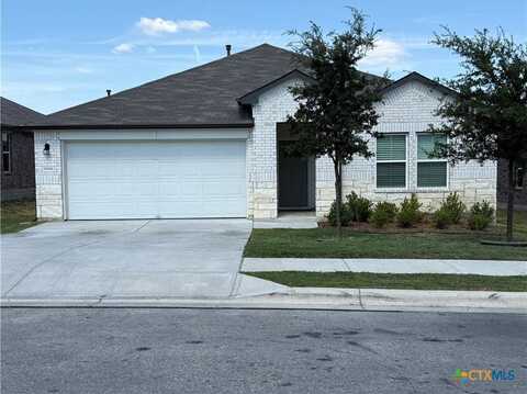19916 Ann Richards Avenue, Manor, TX 78653