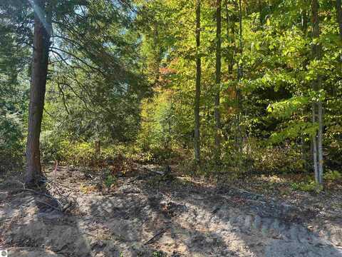 4735 Leaning Birch Drive, Traverse City, MI 49685