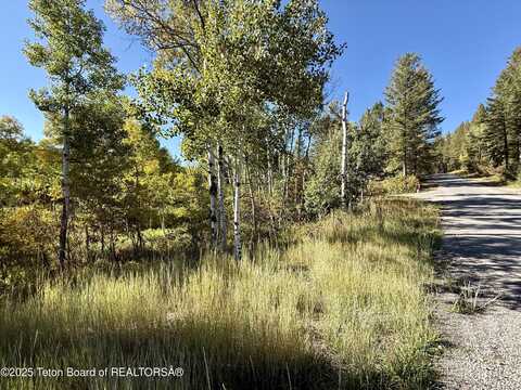 Lot 51 VISTA Drive, Star Valley Ranch, WY 83127