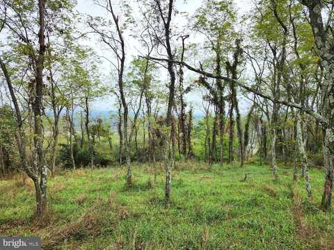 HIDDEN VALLEY DR. OFF OF PINEY MOUNTAIN RD., ROMNEY, WV 26757