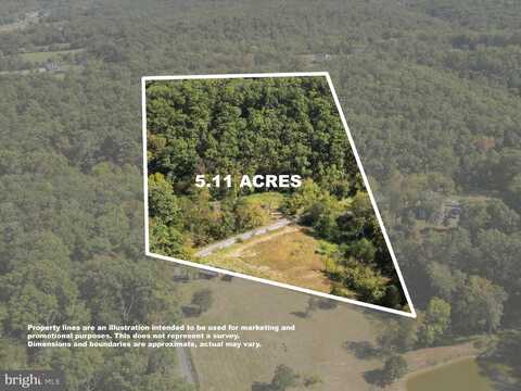 PENNY ANN LANE, STRASBURG, VA 22657