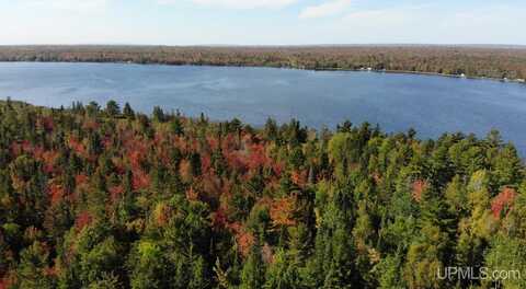 TBD 1 Rice Lake, Lake Linden, MI 49945