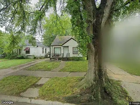 Ferguson, DETROIT, MI 48235