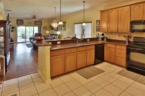 Desert Peace, LAND O LAKES, FL 34639