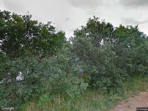 Eisenhower, PALMER LAKE, CO 80133