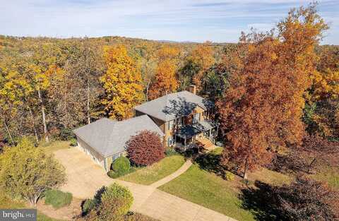 Mcguire, WINCHESTER, VA 22603