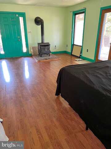 Lusitano, MIDDLETOWN, VA 22645