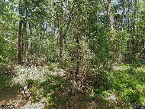 Hale, DADE CITY, FL 33523