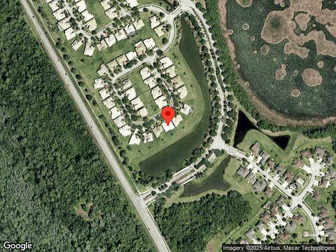 Bougainvillea, KISSIMMEE, FL 34746