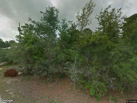 Walton Palm, INLET BEACH, FL 32461