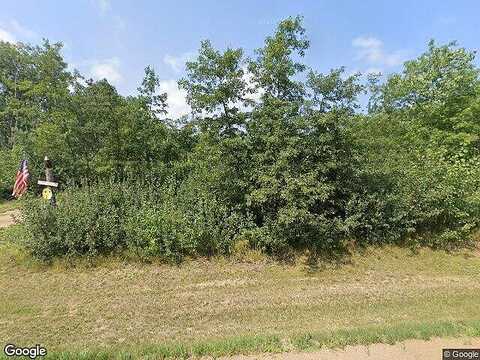 279Th, NEVIS, MN 56467