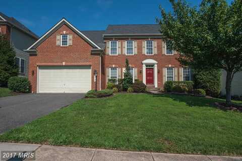 James Gunnell, ALEXANDRIA, VA 22310