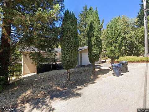 Lupine, WILLITS, CA 95490