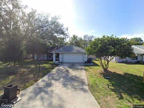 Aralia, SPRING HILL, FL 34608