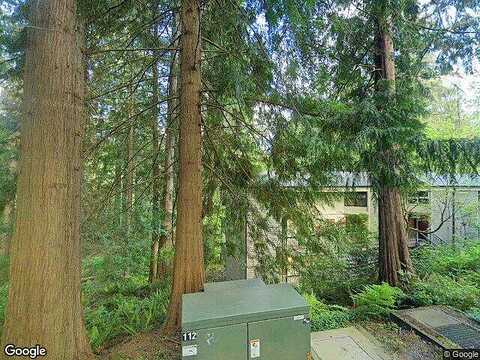 Marigold, BELLINGHAM, WA 98229