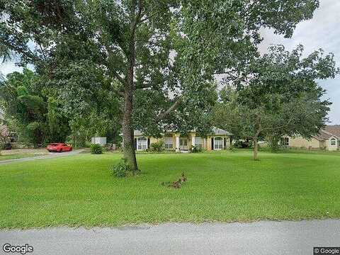Thoroughbred, MONTVERDE, FL 34756
