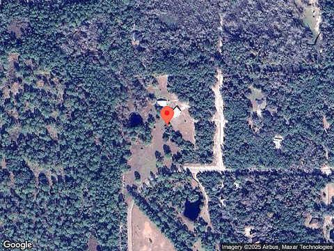 Tabatha, OSTEEN, FL 32764