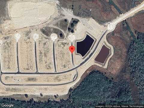 Bigarade, LAKE ALFRED, FL 33850