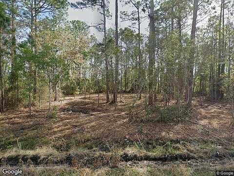 Yellow Jacket Drive, Callahan, FL 32011