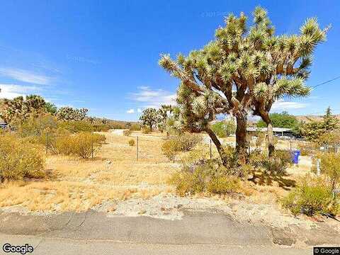 Victor, Yucca Valley, CA 92284