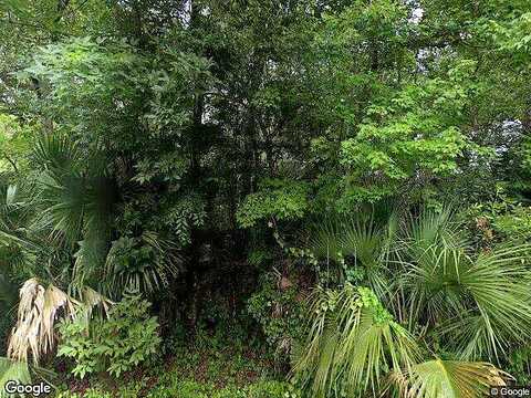 Little John, INVERNESS, FL 34450