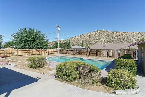 Desert Gold, YUCCA VALLEY, CA 92284