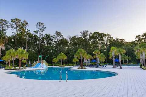 Pine Ribbon, LAND O LAKES, FL 34638