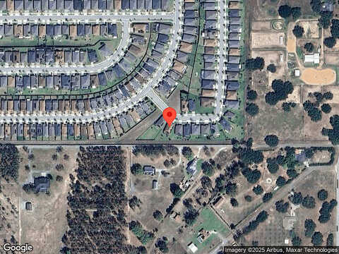 Silver Maple, GROVELAND, FL 34736