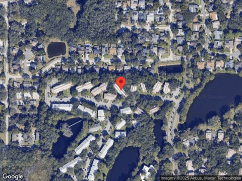 Laketree Lane, Temple Terrace, FL 33617