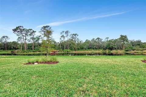 Bluestar, BRADENTON, FL 34211
