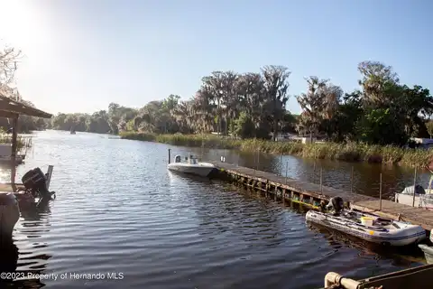 Cr 419, LAKE PANASOFFKEE, FL 33538