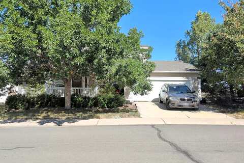 Falcon, LITTLETON, CO 80125