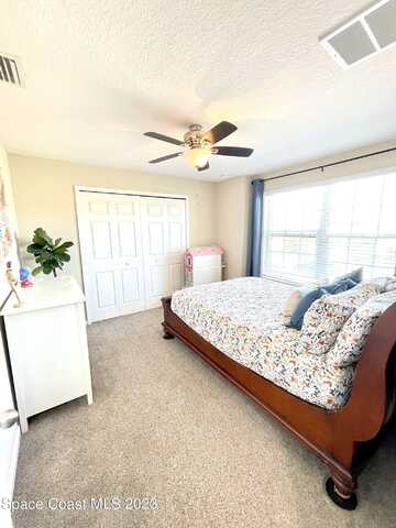 Fiddleleaf, MELBOURNE, FL 32904