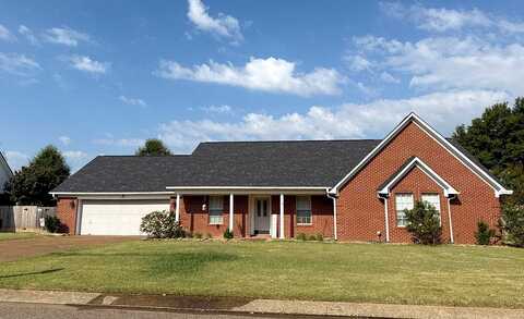 Willow Branch, JACKSON, TN 38305