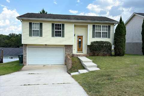 Kayla, CHATTANOOGA, TN 37406
