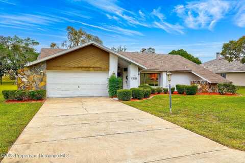 Banner, SPRING HILL, FL 34609