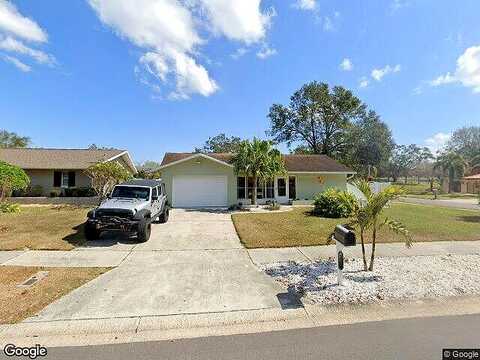 Carol Ann, DUNEDIN, FL 34698
