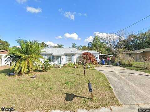 Camellia, BRANDON, FL 33510