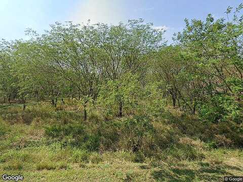 Calle Hermosa, BAYVIEW, TX 78566