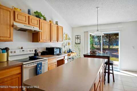 Kildeer, WEEKI WACHEE, FL 34614