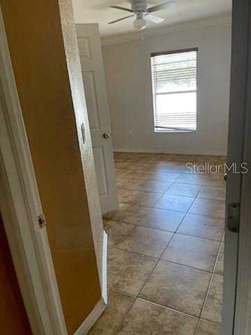 Dorado, SPRING HILL, FL 34609