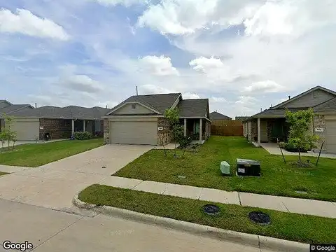 Rosy Finch, FORNEY, TX 75126