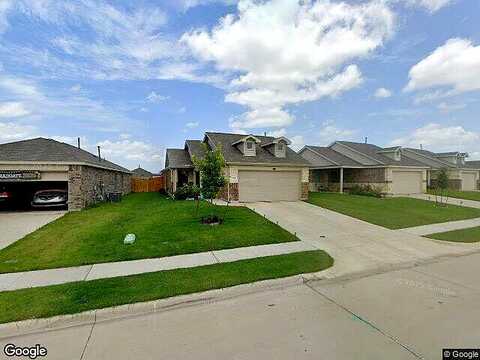 Rosy Finch, FORNEY, TX 75126