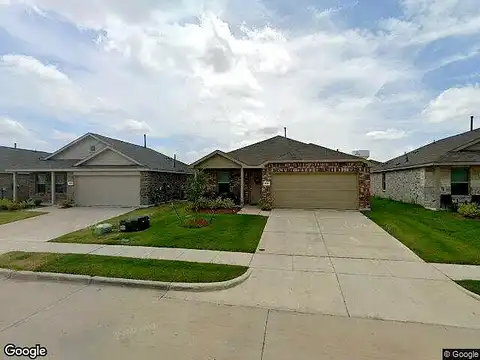Rosy Finch, FORNEY, TX 75126