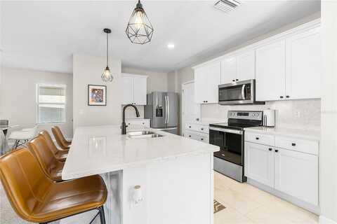 Secret Meadow, ODESSA, FL 33556
