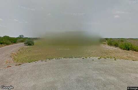 Deer Run, THREE RIVERS, TX 78071