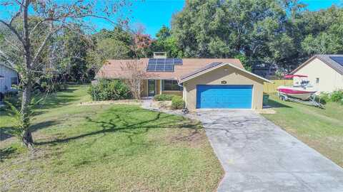 Blackberry, EUSTIS, FL 32726