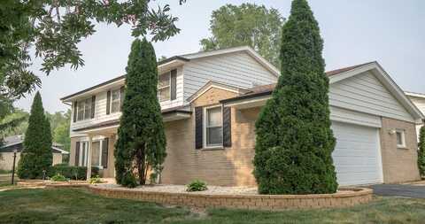 Loomis, HOMEWOOD, IL 60430