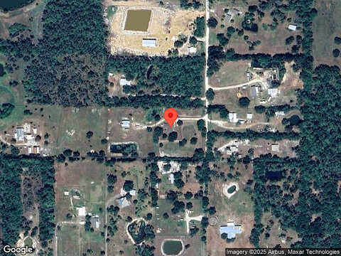 Honey Bear, NORTH FORT MYERS, FL 33917