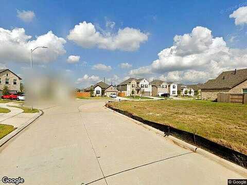 Blue Palm, CYPRESS, TX 77433